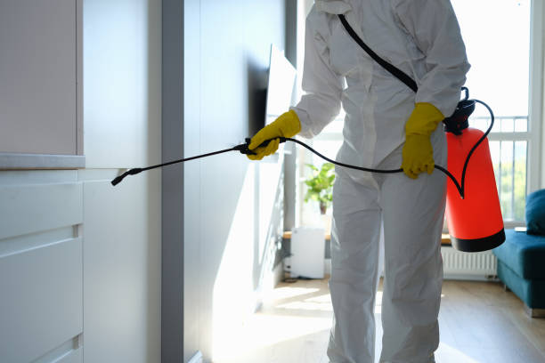 Best Commercial Mold Removal  in Weldon, CA