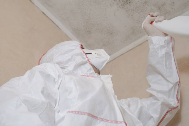 Best Mold Cleaning Services  in Weldon, CA