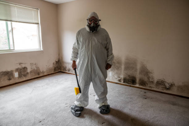 Best Residential Mold Removal  in Weldon, CA